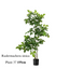 Artificial Radermacher Sinica Plant 155cm