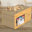 Cat Scratcher House