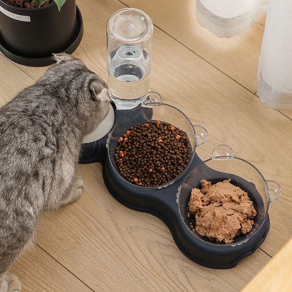 3in1 Food and Water Pet Feeder