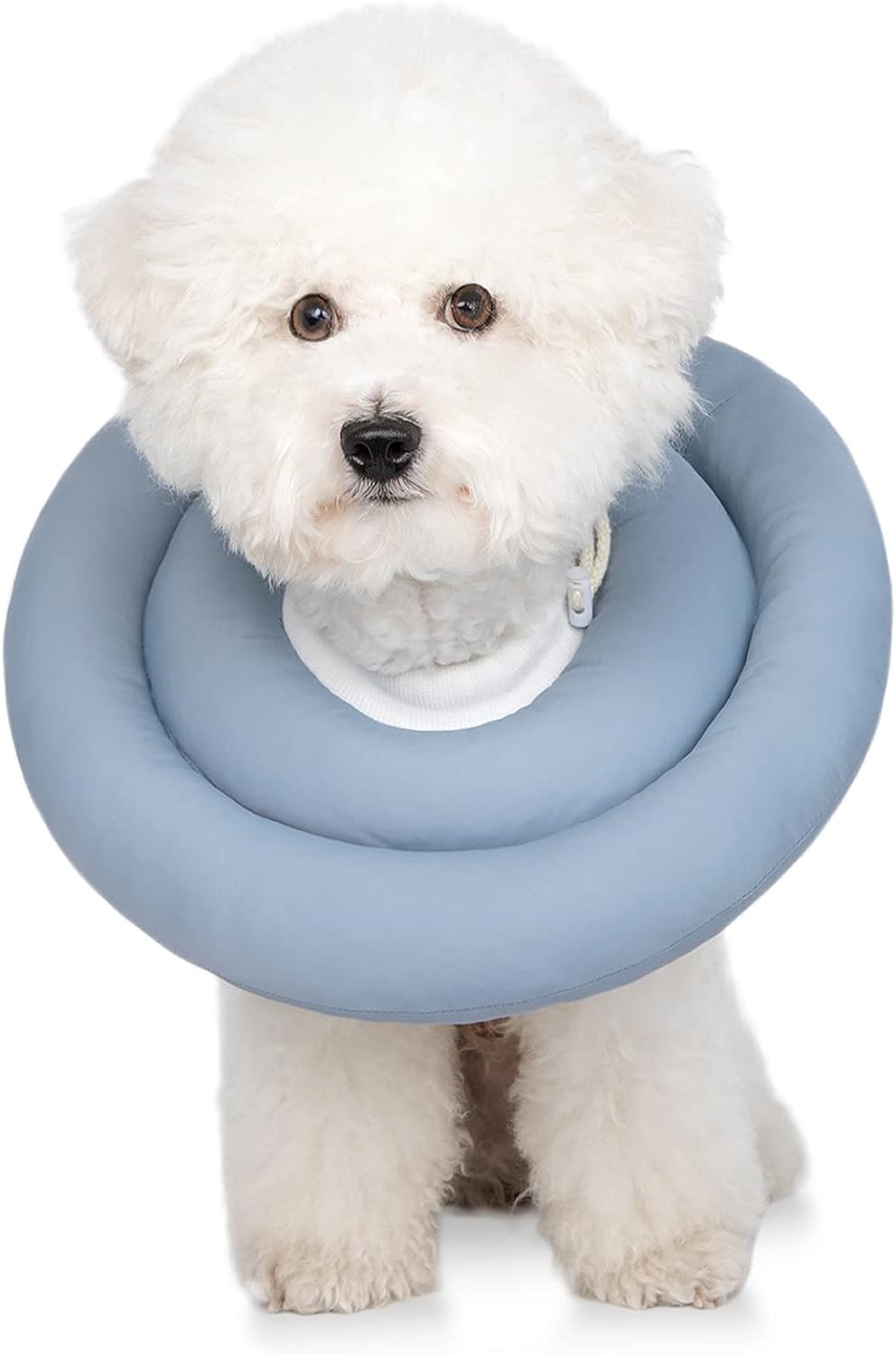 Donut Design Thick Cushion Pet Collar (Blue)