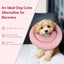Pet Cone Collar (Pink Donut)