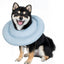 Donut Design Thick Cushion Pet Collar (Blue)