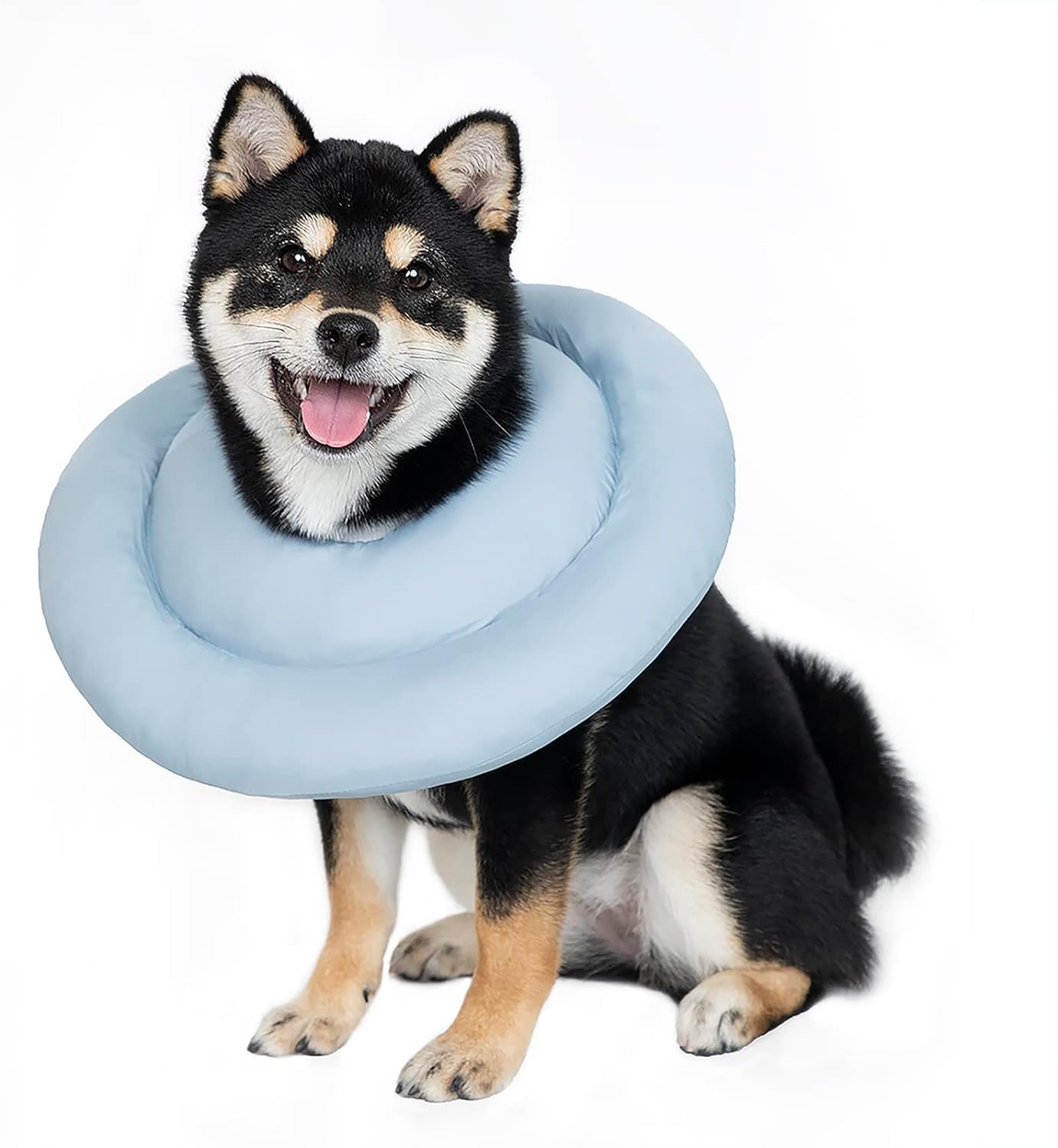 Donut Design Thick Cushion Pet Collar (Blue)