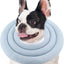 Donut Design Thick Cushion Pet Collar (Blue)