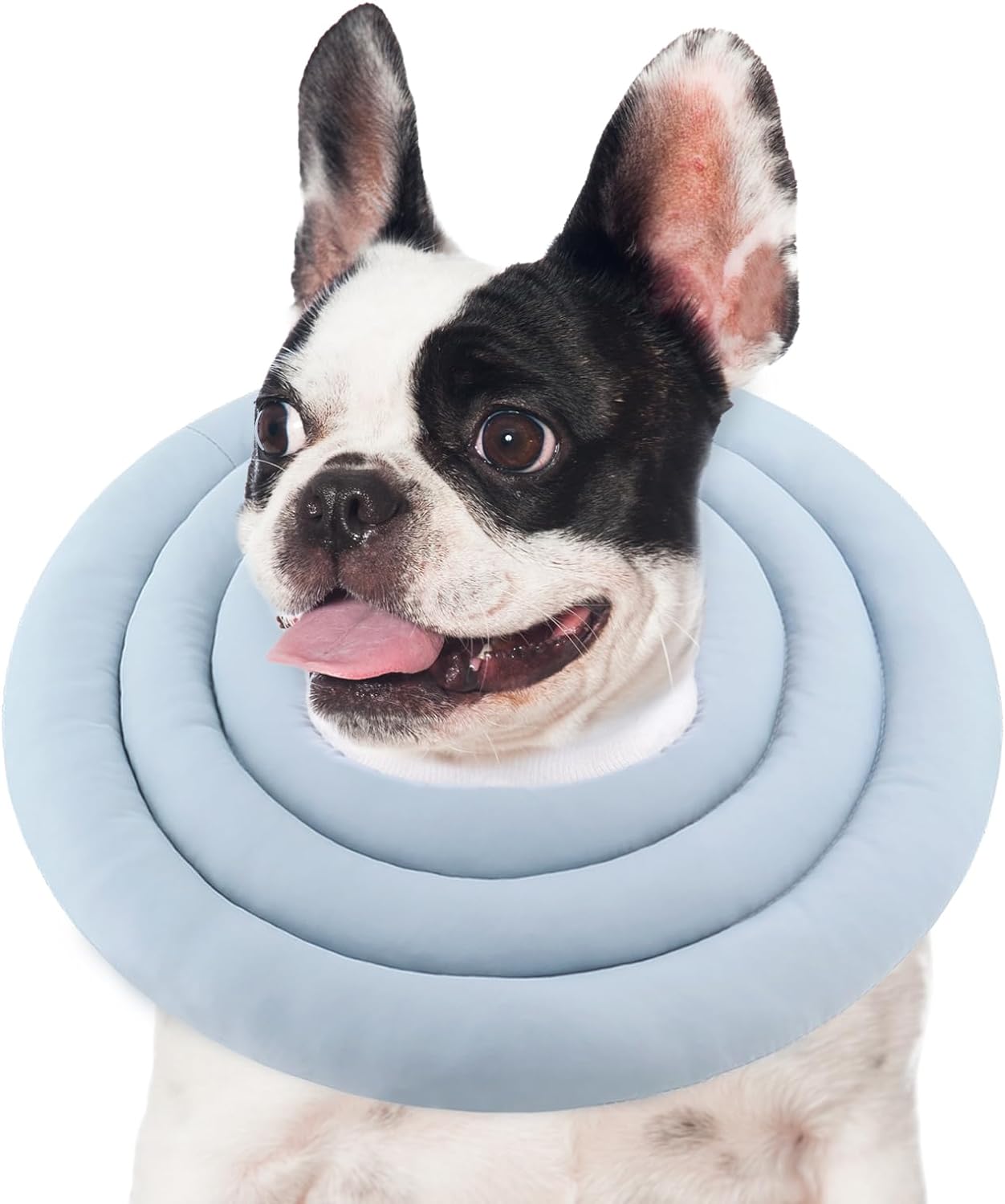 Donut Design Thick Cushion Pet Collar (Blue)