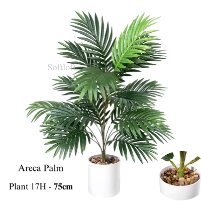 Artificial Areca Plam 75cm Tall in White Pot