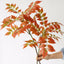 Artificial Toona Sinensis Plant (150cm)