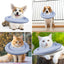 Donut Design Thick Cushion Pet Collar (Blue)