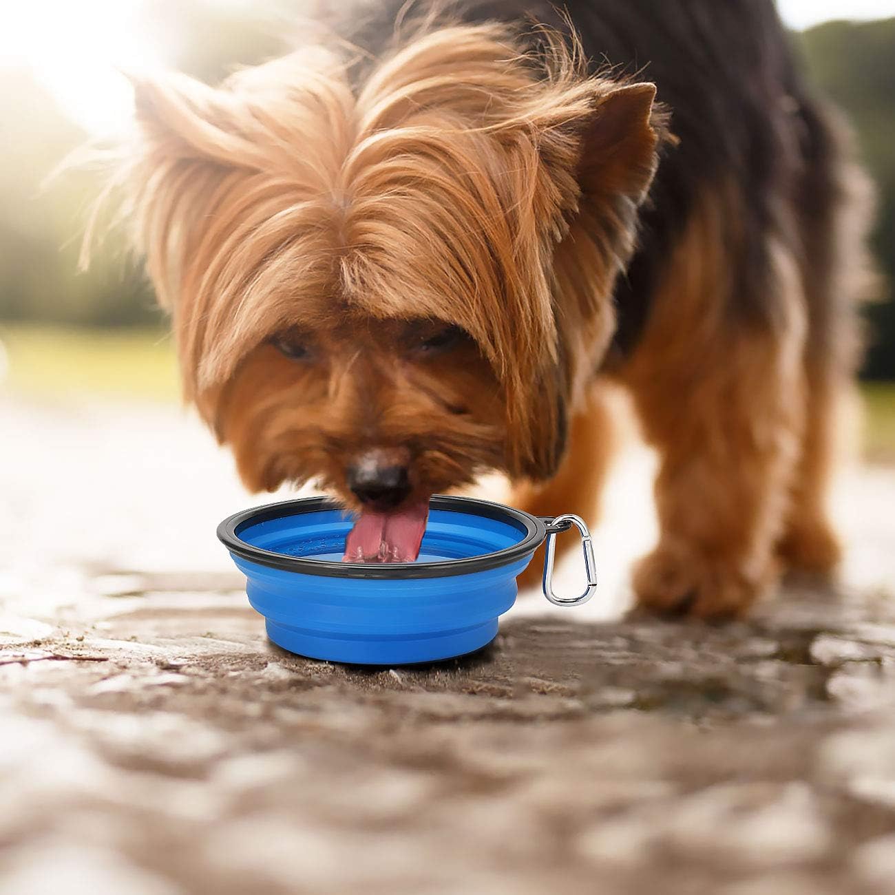 Pet Travel Feeder Bowl (Collapsible Silicon)
