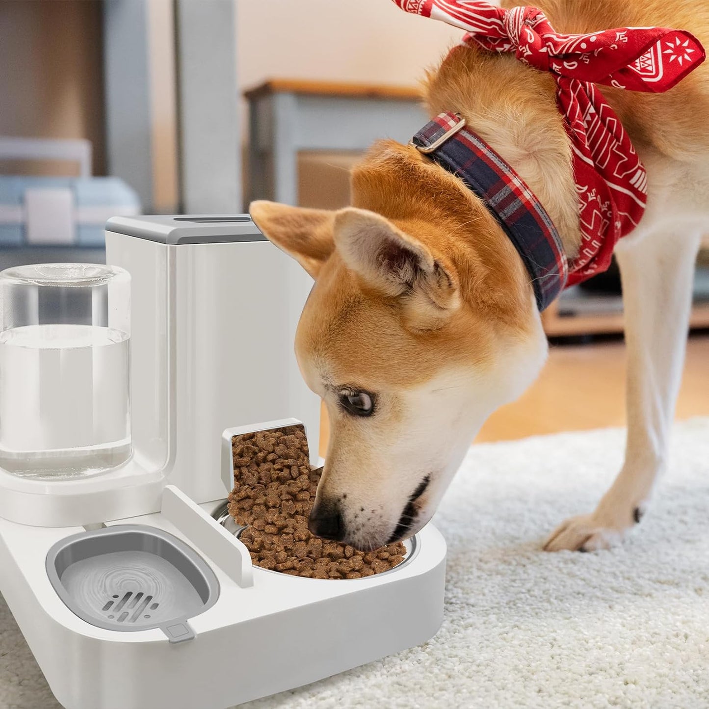 2in1 Automatic Food and Water Pet Feeder