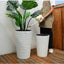 Ellipse Tall Imitation Cement Pot (White)