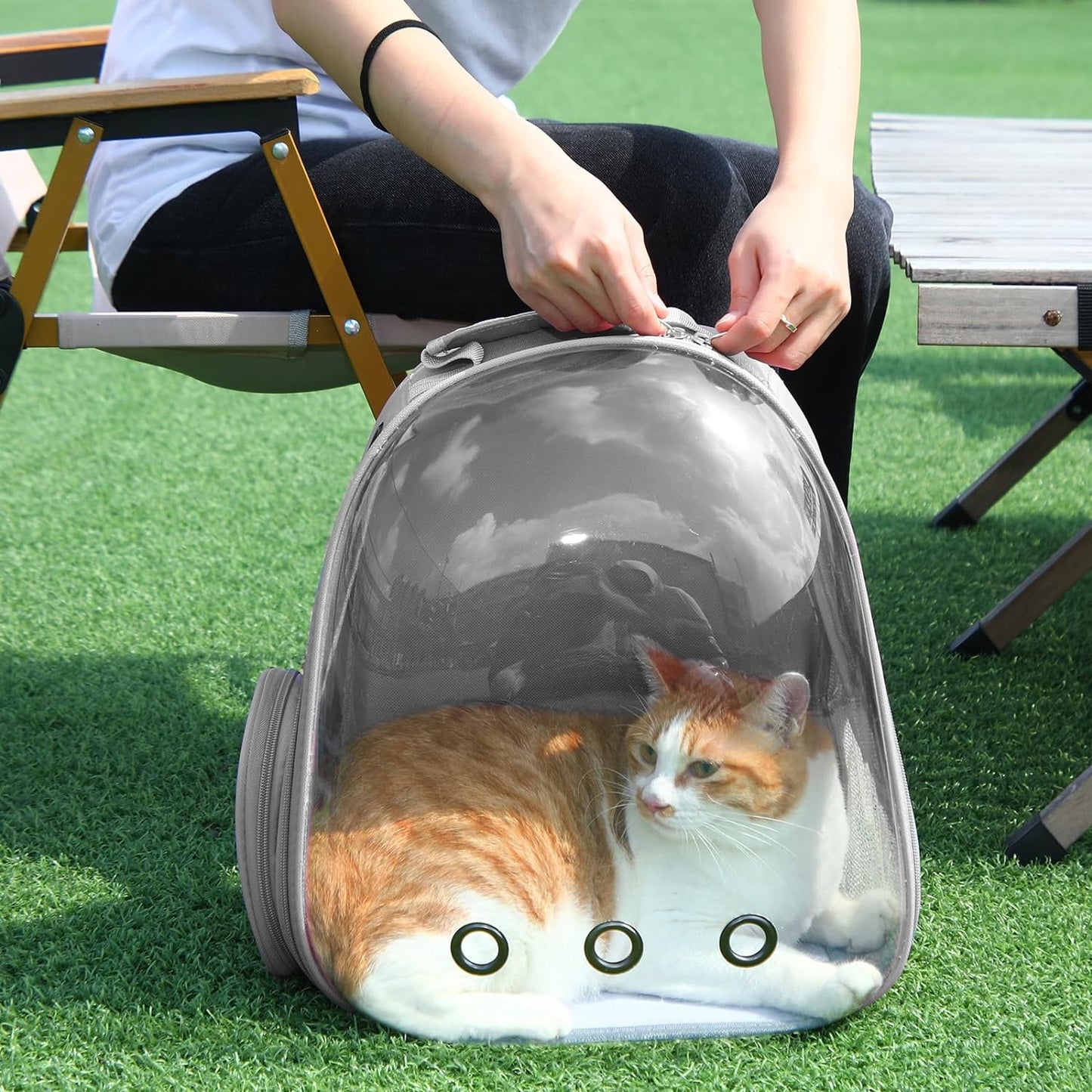 Hard Transparent cover Pet Backpack (33cm)