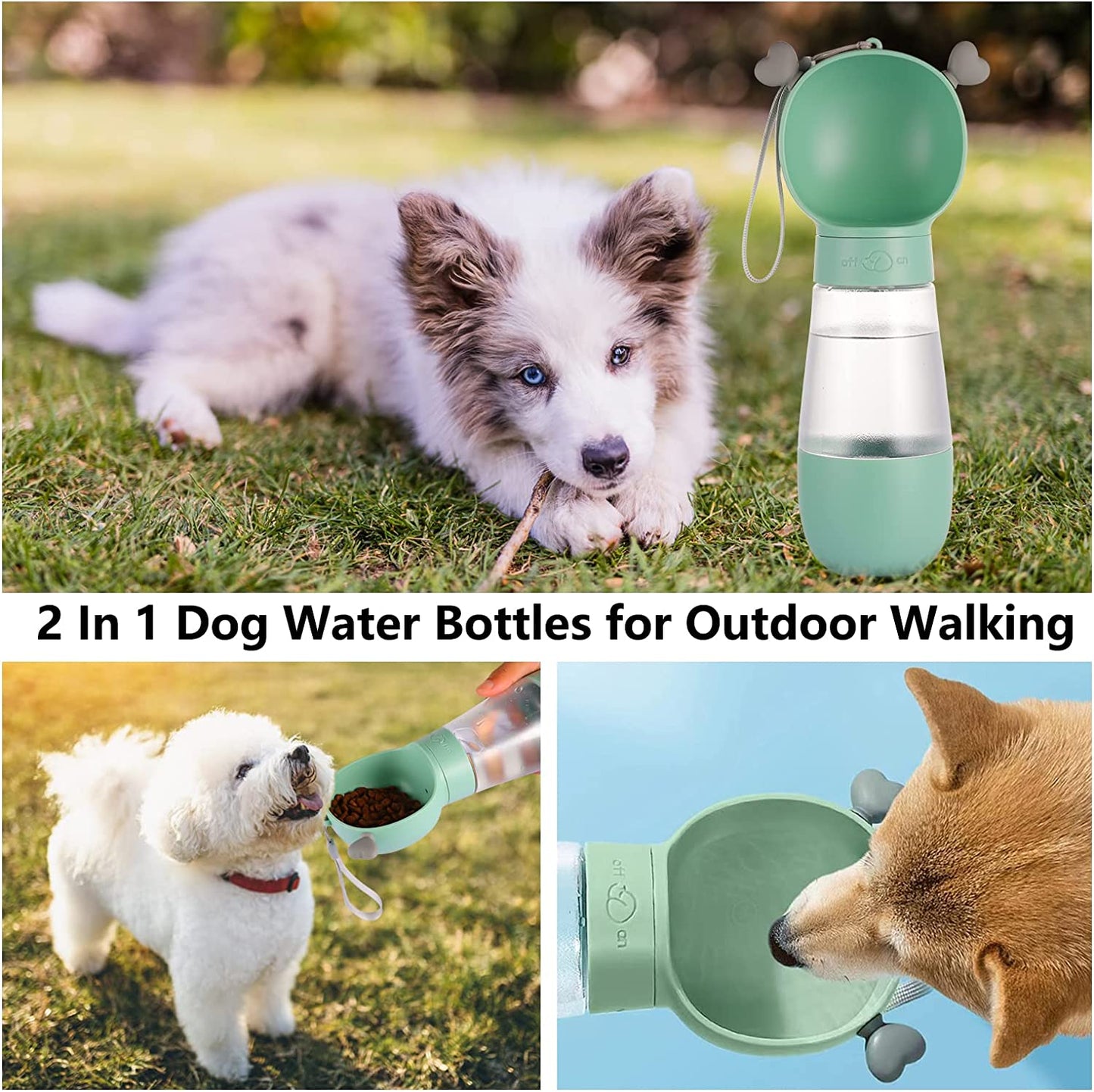 2in1 Travel Food and Water Feeder