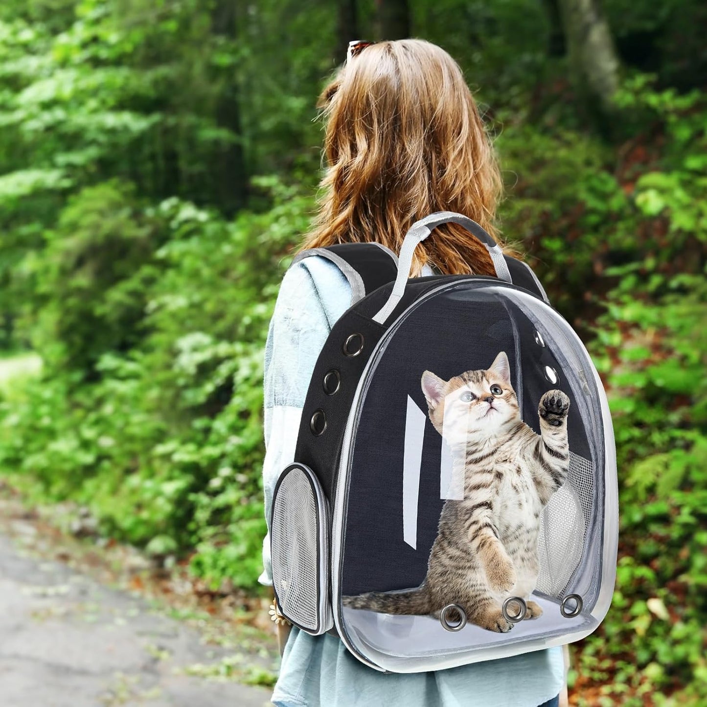 Hard Transparent cover Pet Backpack (33cm)