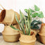 Rattan Basket (Wave)