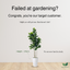 Artificial Fiddle Leaf Fig Tree