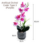 Artificial Orchid in Pot - Cement Stripes (41cm)