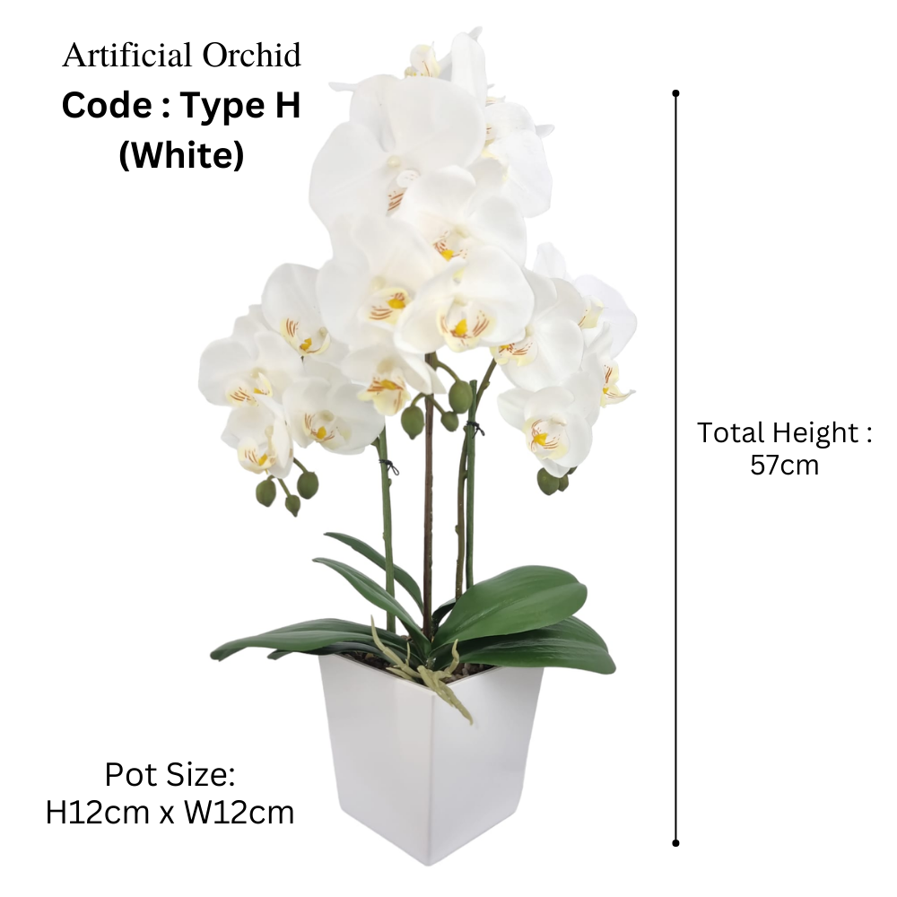 Artificial Orchid in Pot - White (57cm)