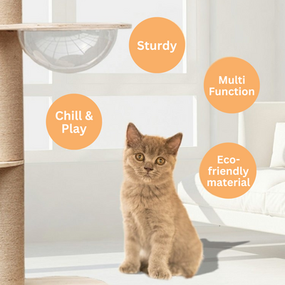 Wooden Ceiling Cat Condo - White (240cm - 260cm Heights)