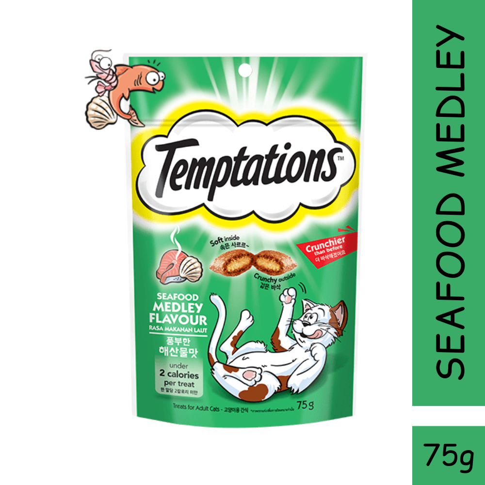 TEMPTATIONS Cat Treat Pocket Snack 75g