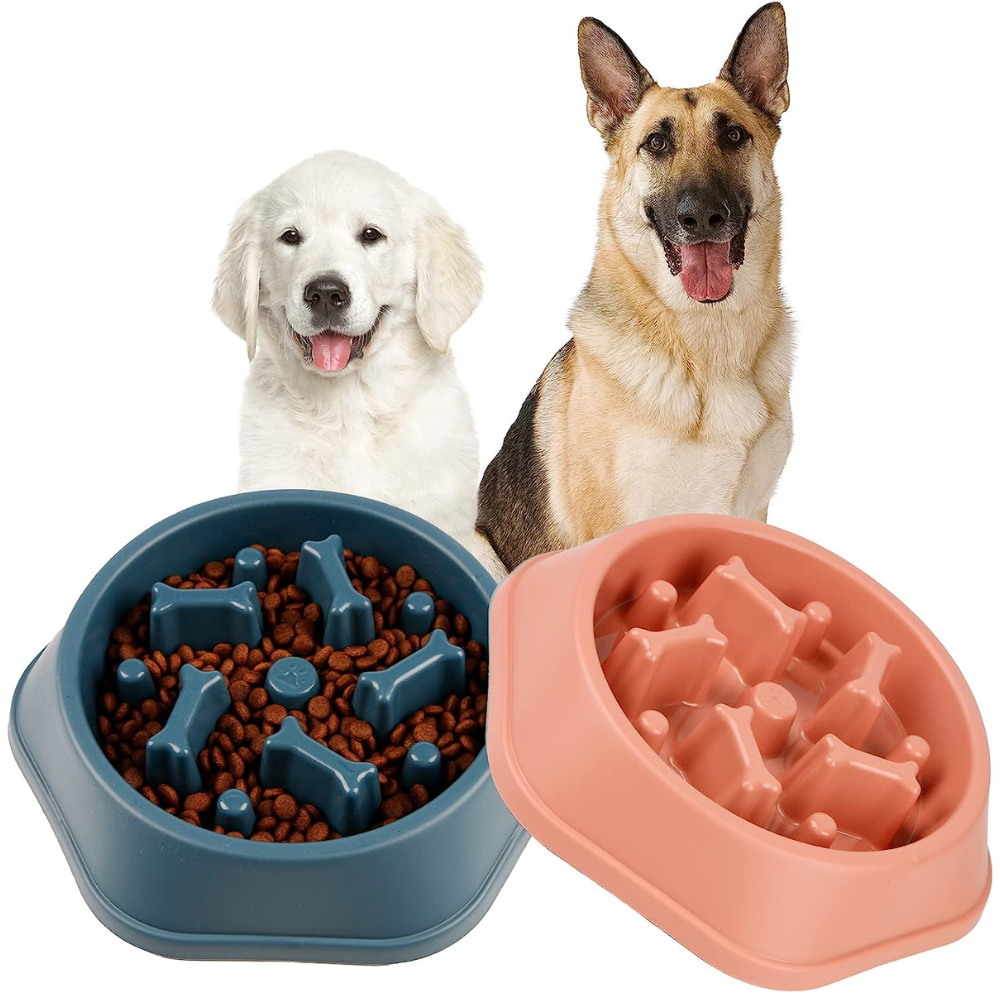 Pet Feeder Bowl (Anti Choke)