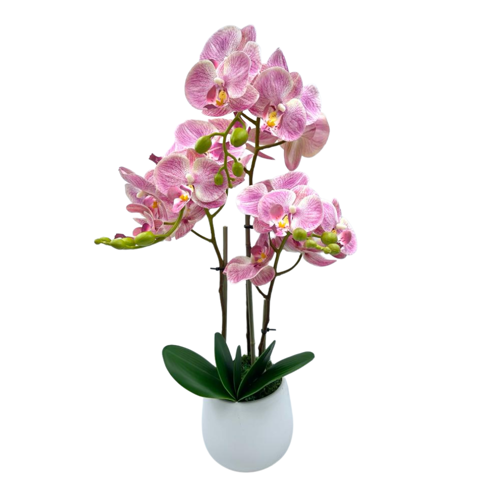 Artificial Orchid in Ceramic Pot - White (68cm)