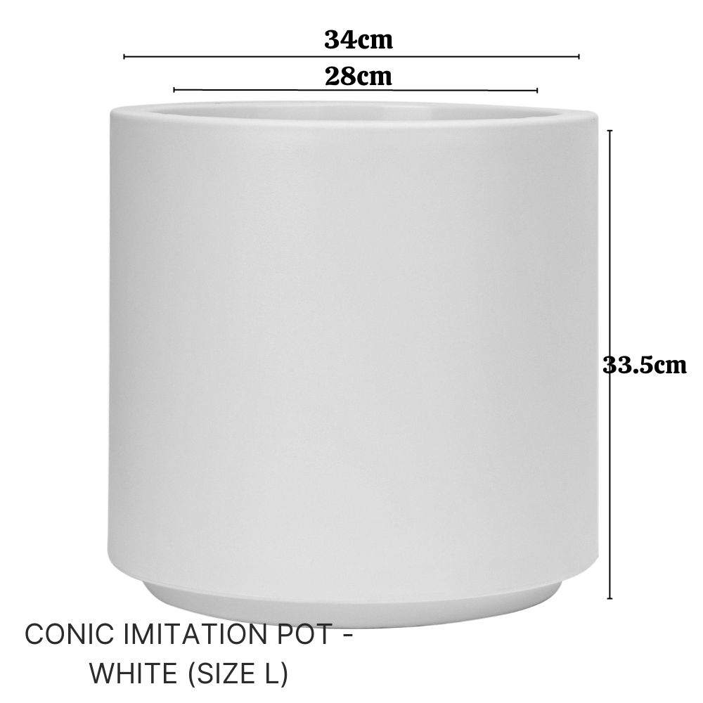 Imitation Round Plant Pot (White)