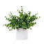 Artificial Small Eucalyptus Table Plant in White Pulp Pot