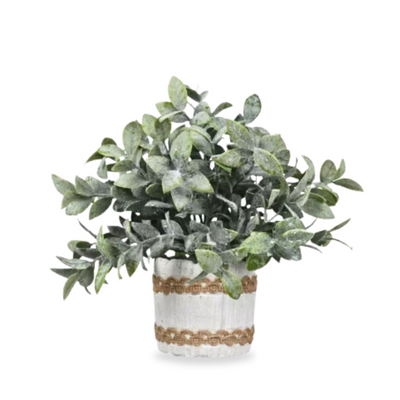 Small Artificial Tea Plant with Frost in Cement Pot