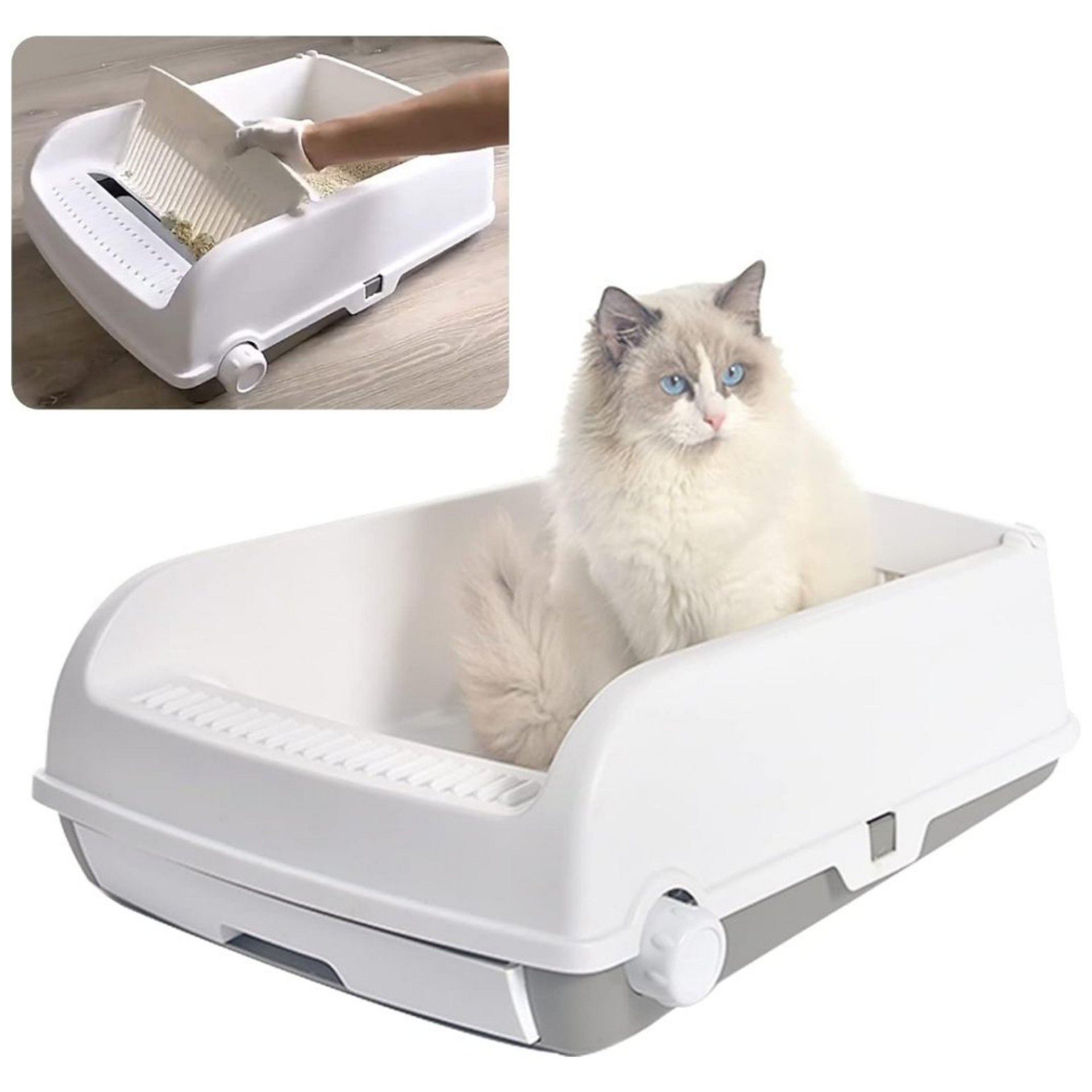 Auto cat box hotsell