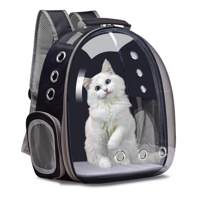Pet Backpack - Mesh and Transparent (33cm)