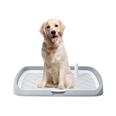 Training Pee Tray with Tray Handle (Low)