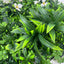 Artificial Wall Plant Panel Backdrop UV-01