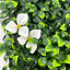 Artificial Grass Wall Panel Backdrop UV-05