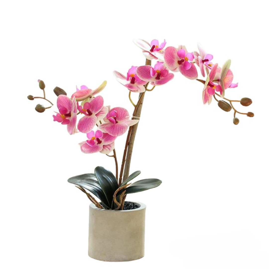 Artificial Orchid in Pot - Grey (35cm)