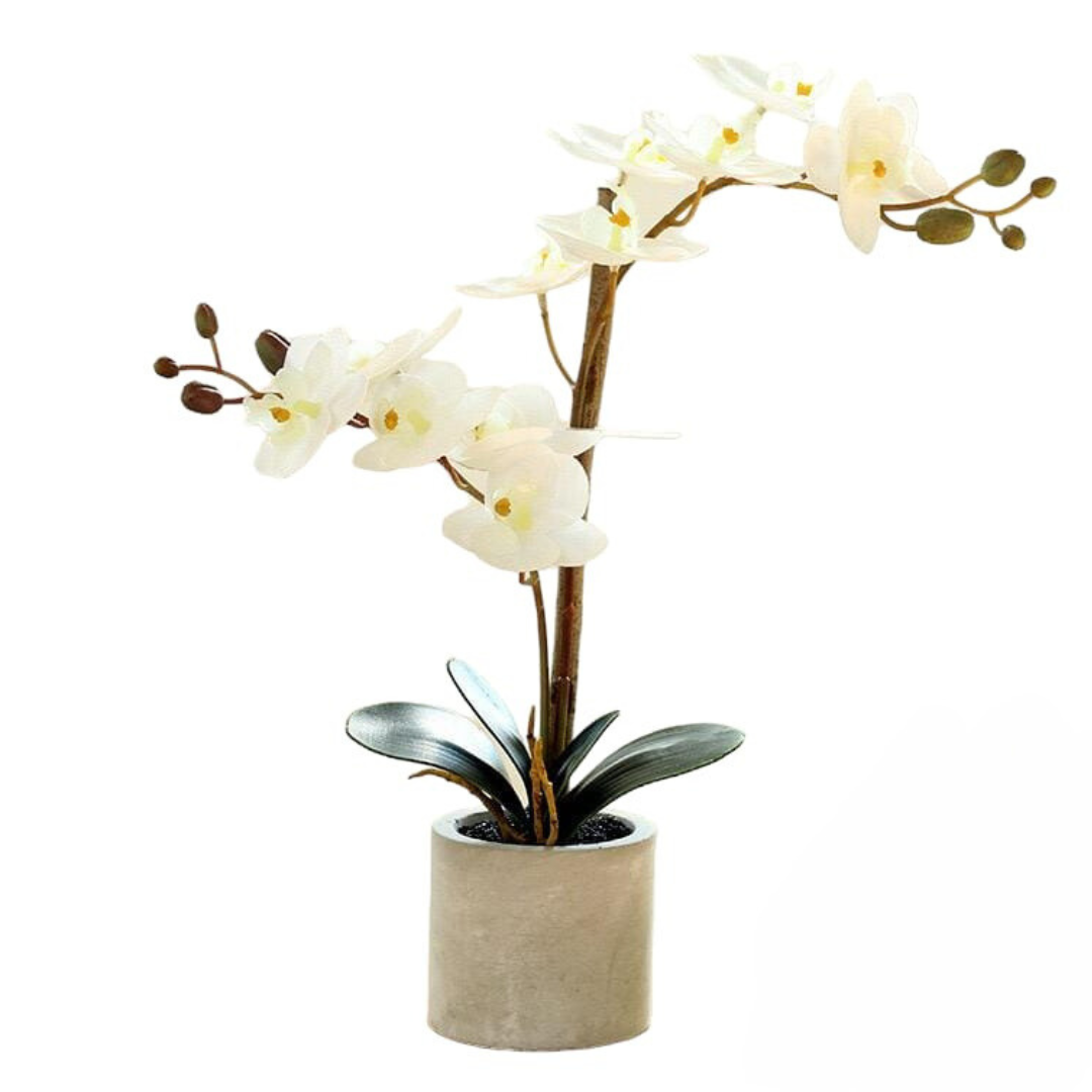 Artificial Orchid in Pot - Grey (35cm)