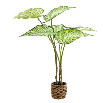 Artificial Medium Arrowhead Plant - Patterned Pot (60cm)