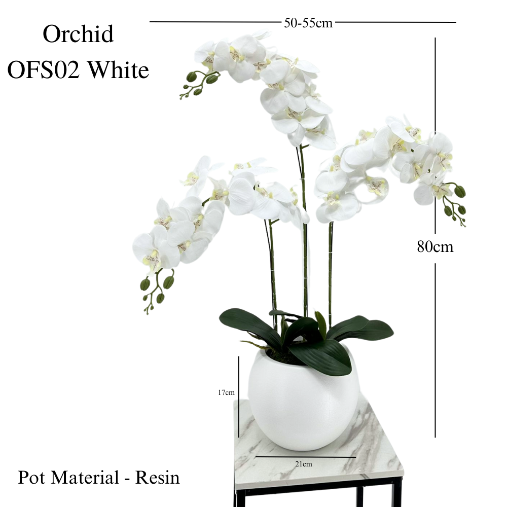 Artificial White Orchid in Elegant Resin Pot (80cm)