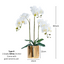 Artificial White Orchid in Ceramic Gold Pot