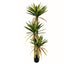 Artificial Dracaena Draco Plant 130-160cm