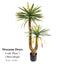 Artificial Dracaena Draco Plant 130-160cm