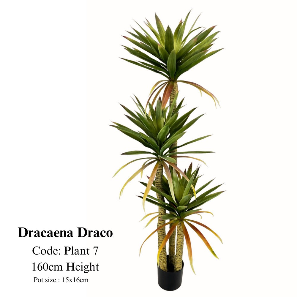 Artificial Dracaena Draco Plant 130-160cm