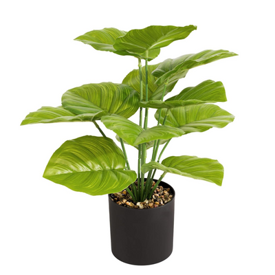 Artificial Small Potted Plant - Black Pot (42cm)