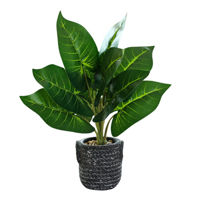 Artificial Small Potted Plant - Light Cement Pot (37cm)