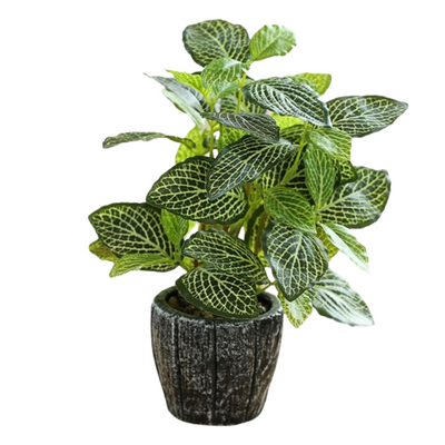 Artificial Small Potted Plant - Light Cement Pot (22.5 cm)