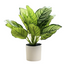 Artificial Small Potted Plant - White Pot (33 cm)