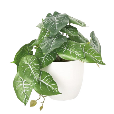 Artificial Small Potted Plant in White Pot