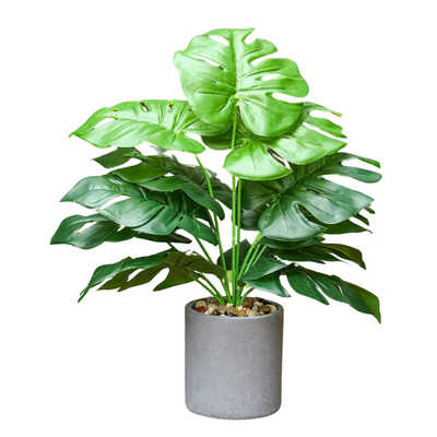 Artificial Small Potted Plant - Cement pot (45 cm)