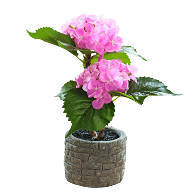 Artificial Small Potted Flower - Light Cement Pot (29cm)