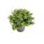 Artificial Small Table Plant in Pulp Pot